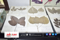 1_DSC0630