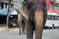 3_258767418_591989435216188_4224165306721064870_n