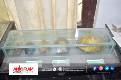 DSC0629