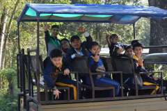 Sauraha Safari