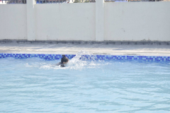 DSC0109