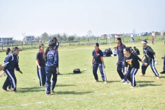 DSC0313